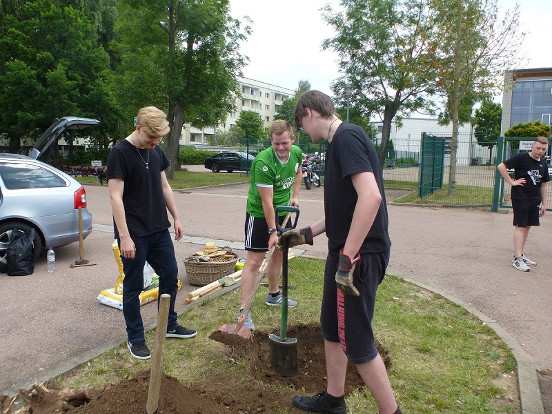 Pflanzung in Köthen